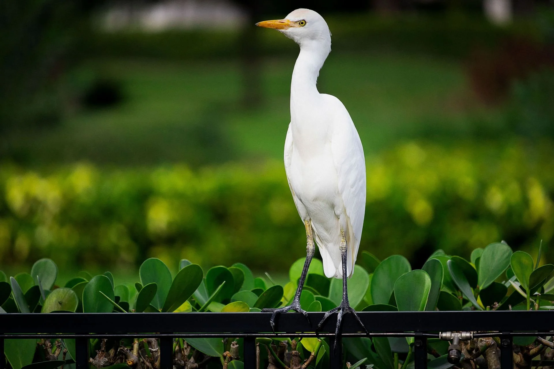 5 Reasons People Are Still Moving to Stuart, Florida in 2026