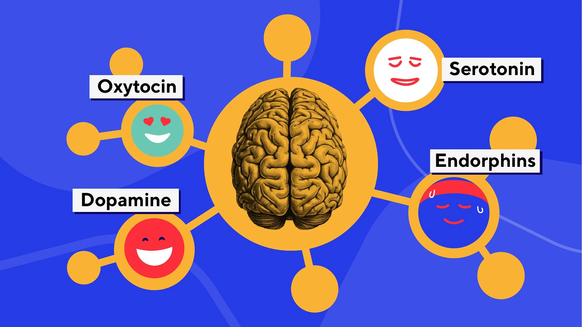 E-LEARNING VISUALS