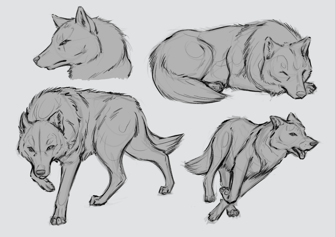 247) Maena - Sketches.png