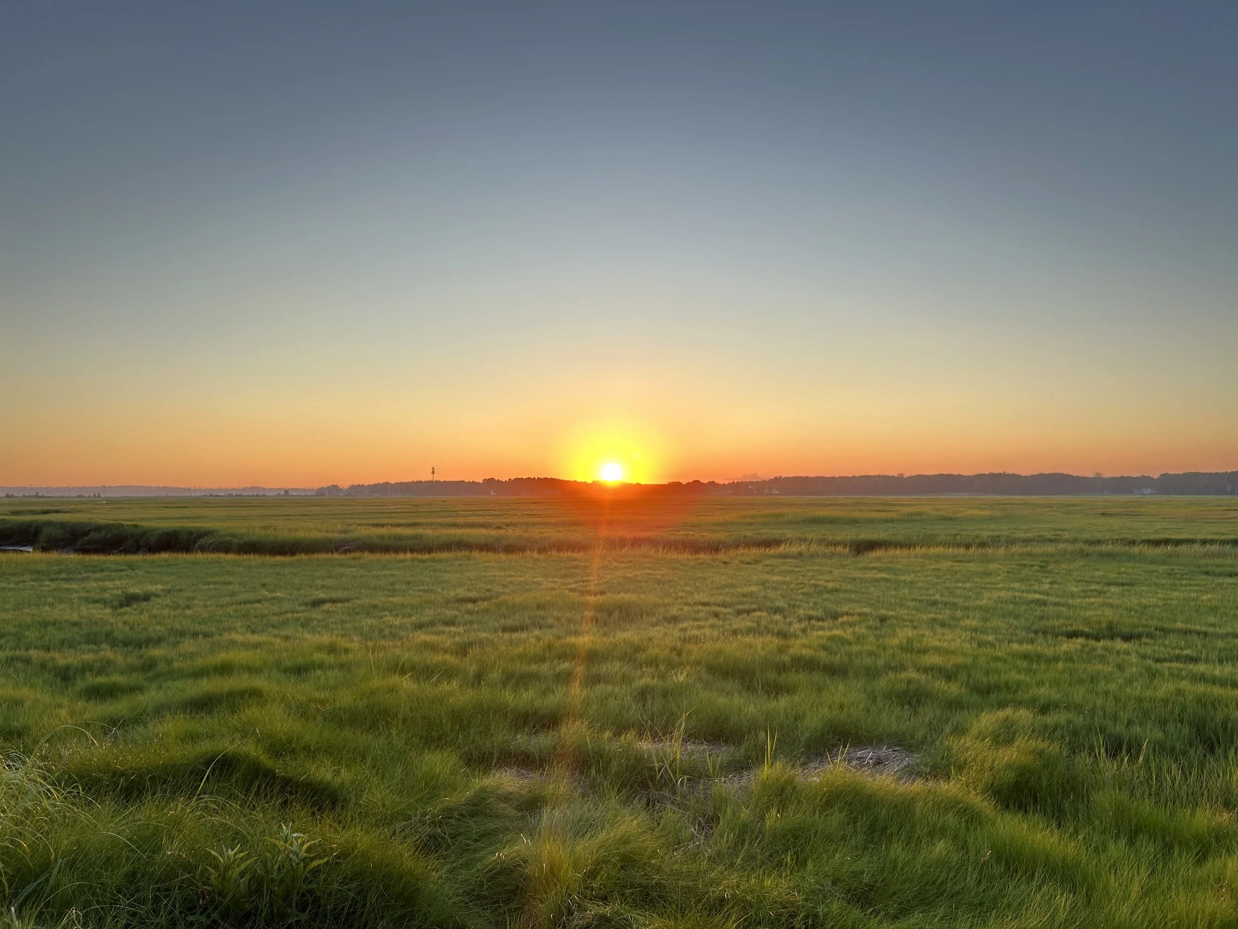 Sun setting over a vast grassy field with a clear sky above.