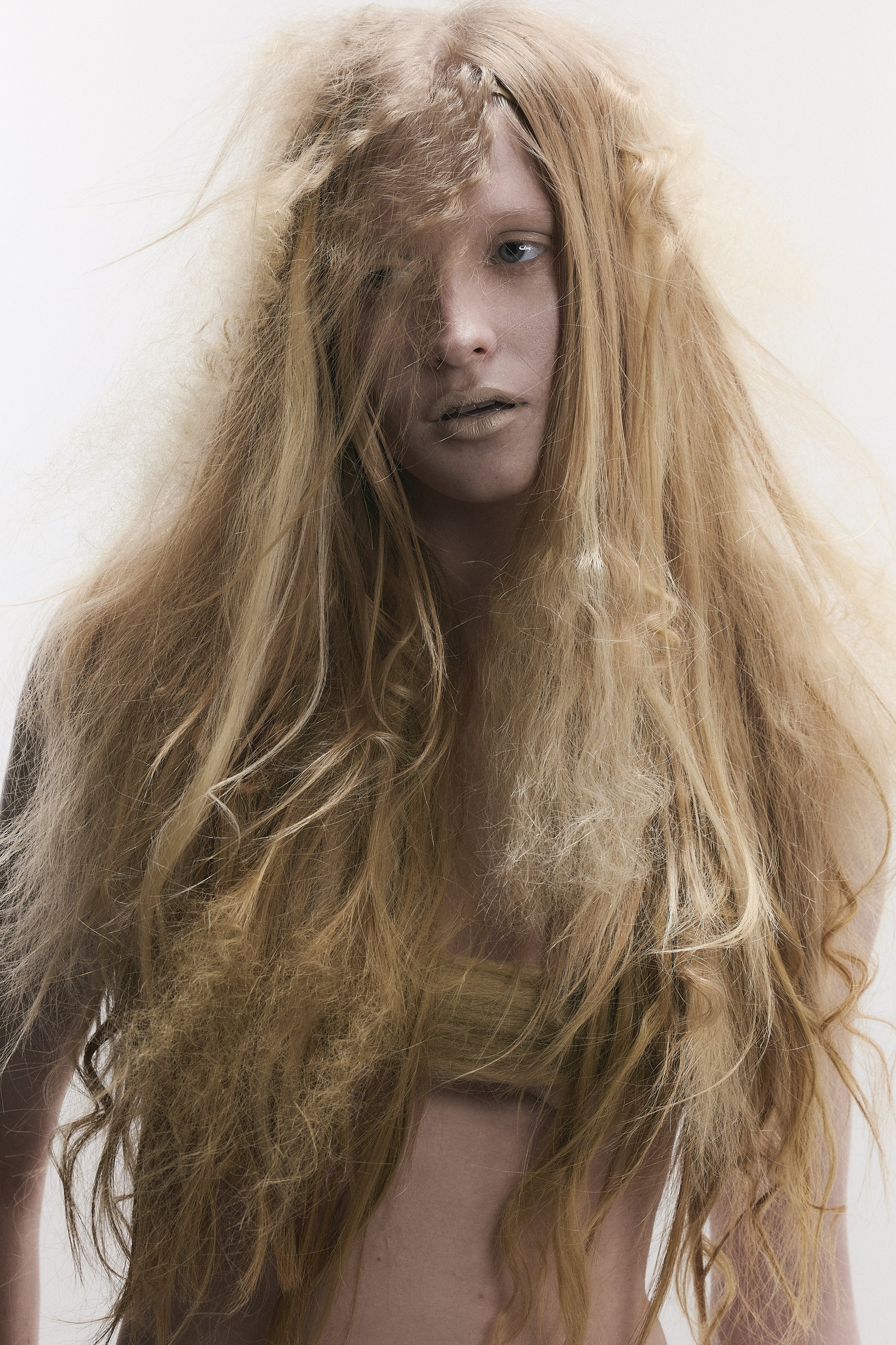 IMPERSONAL HAIR 10.83578 copia.jpg