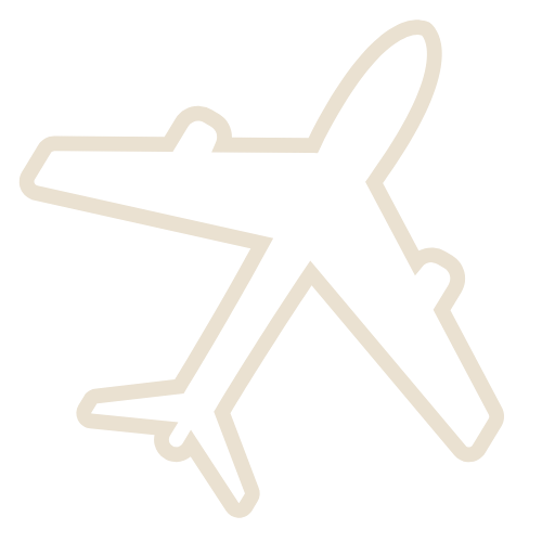 Professional-Male-Voice-Actor-tourisom-icon-plane