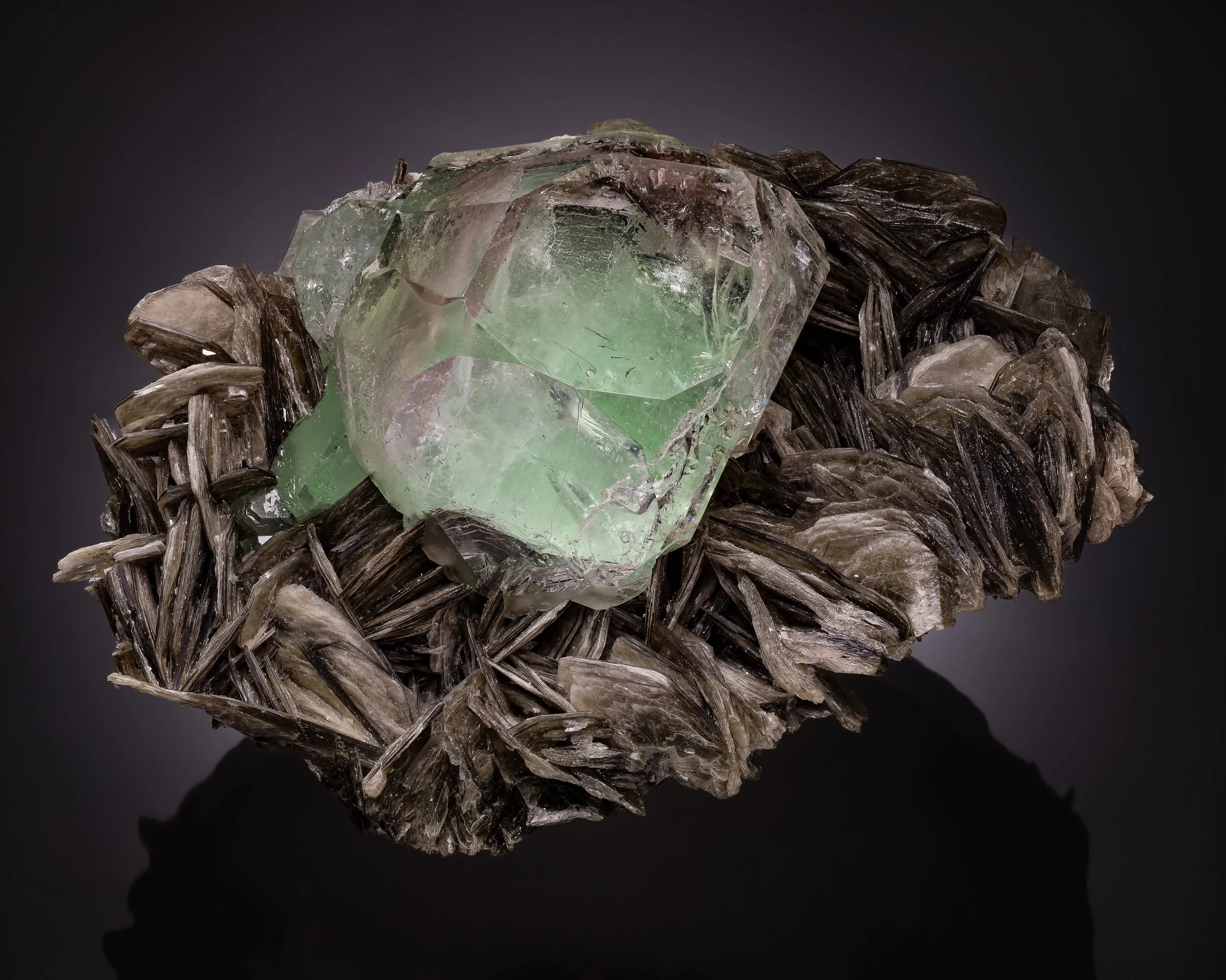 Fluorite on Muscovite 13 cm  
Chumar Bakhoor, Nagar District, Pakistan
