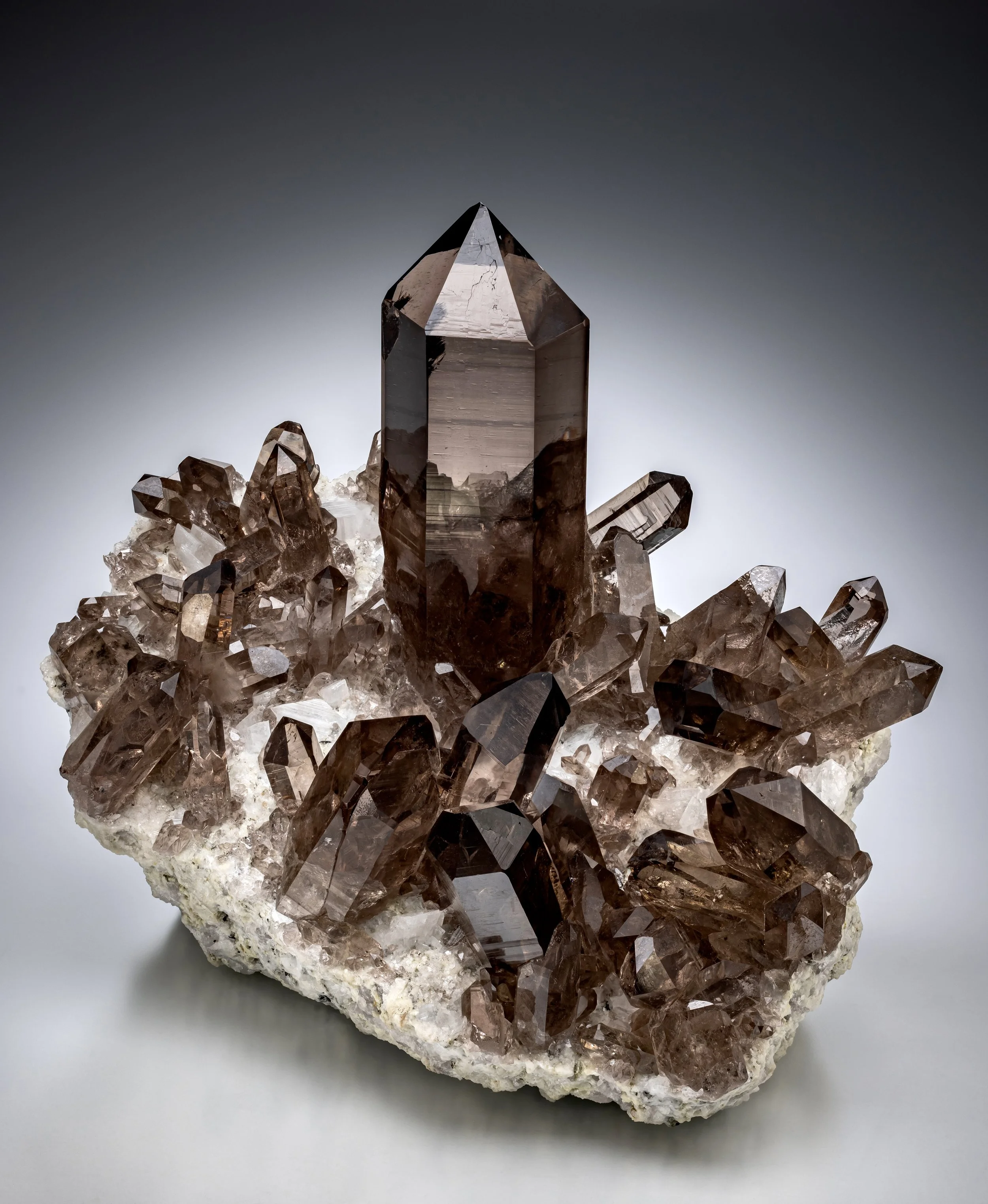 Smoky Quartz & Andularia 16 cm  
Zinggenstocke, Oberaar, Switzerland