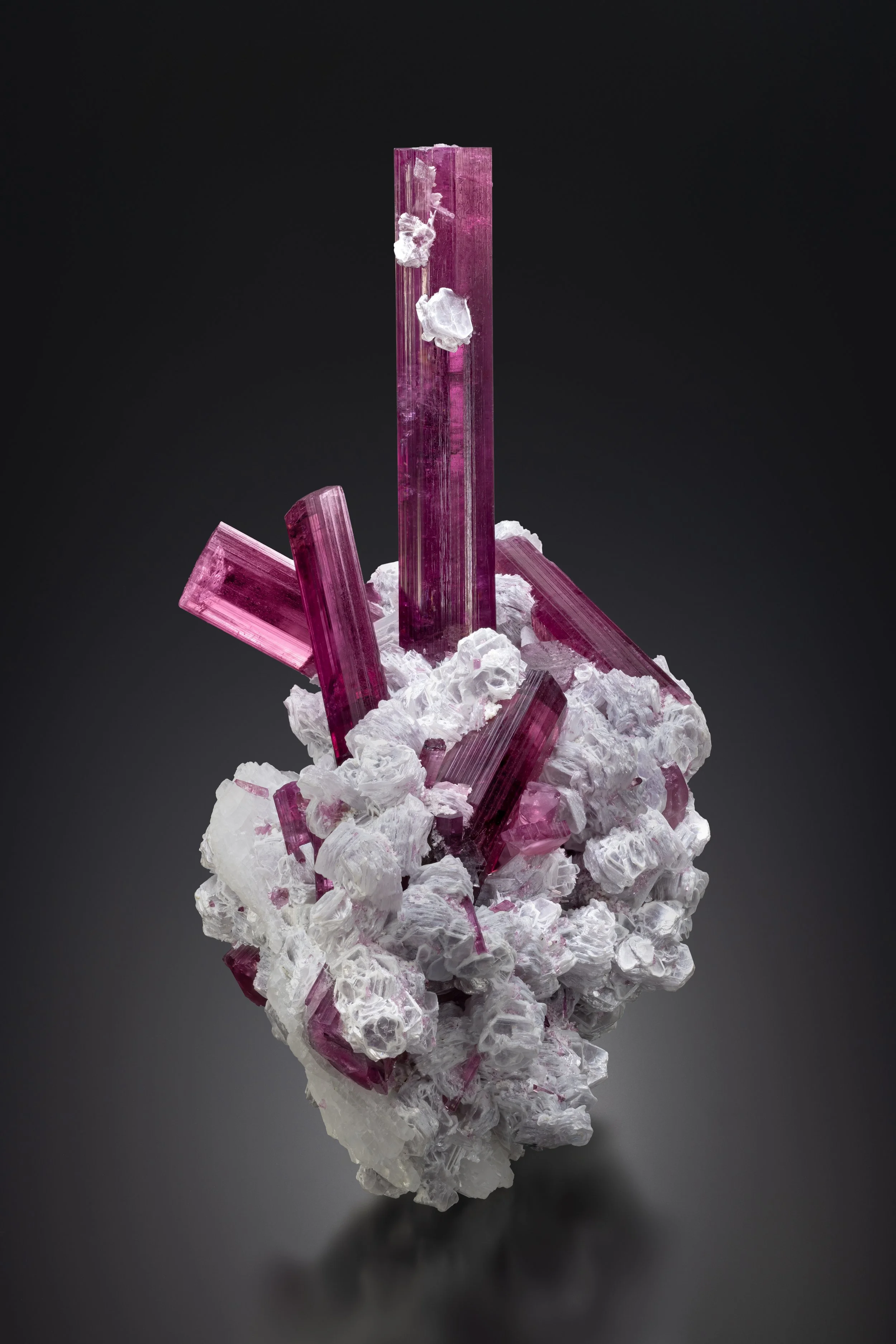 Tourmaline 13 cm  
Jonas Mine, Minas Gerais, Brazil