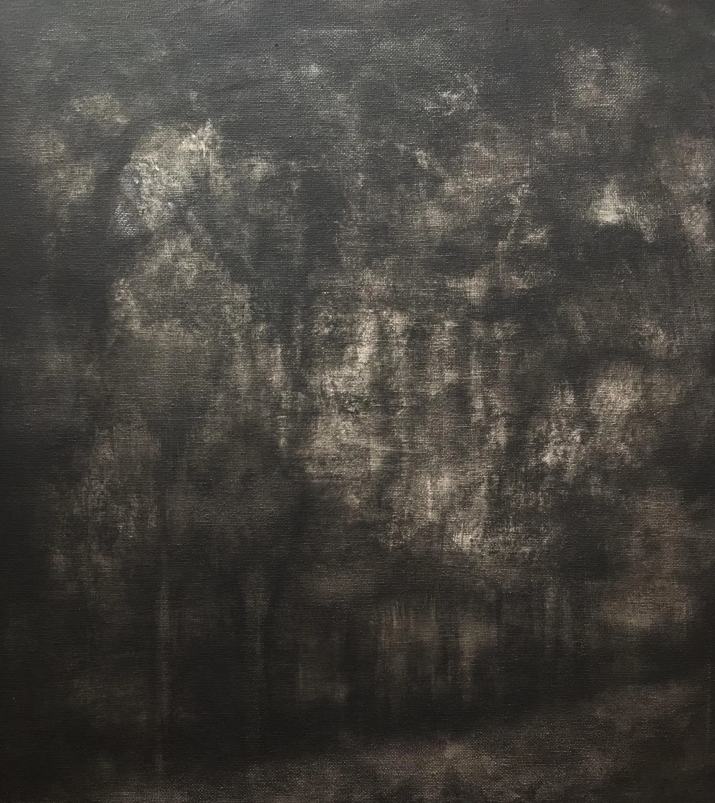 Debris in Scattered Light
