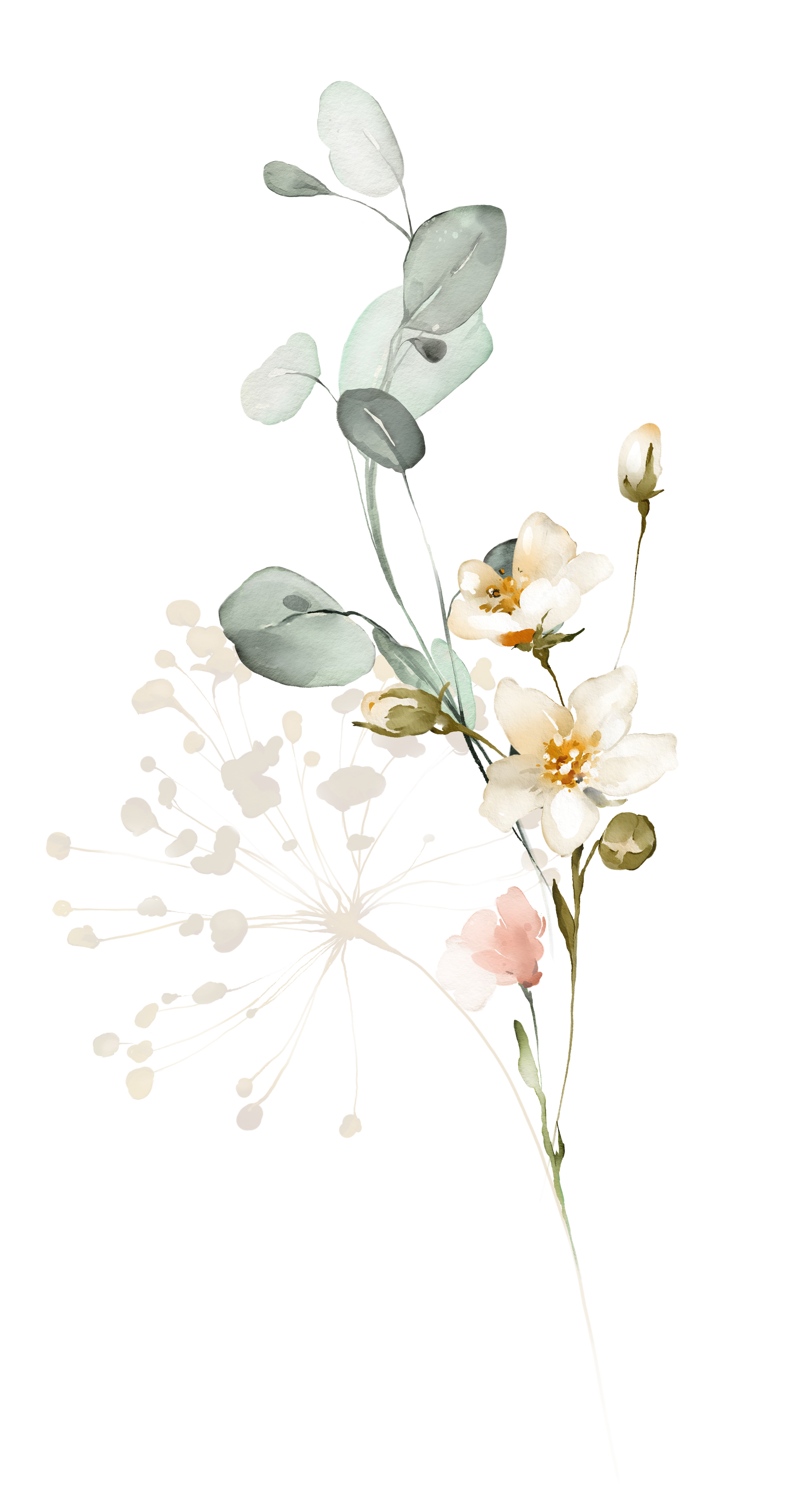 Elegant vertical display of white and peach blooms with lush green leaves against a black background.