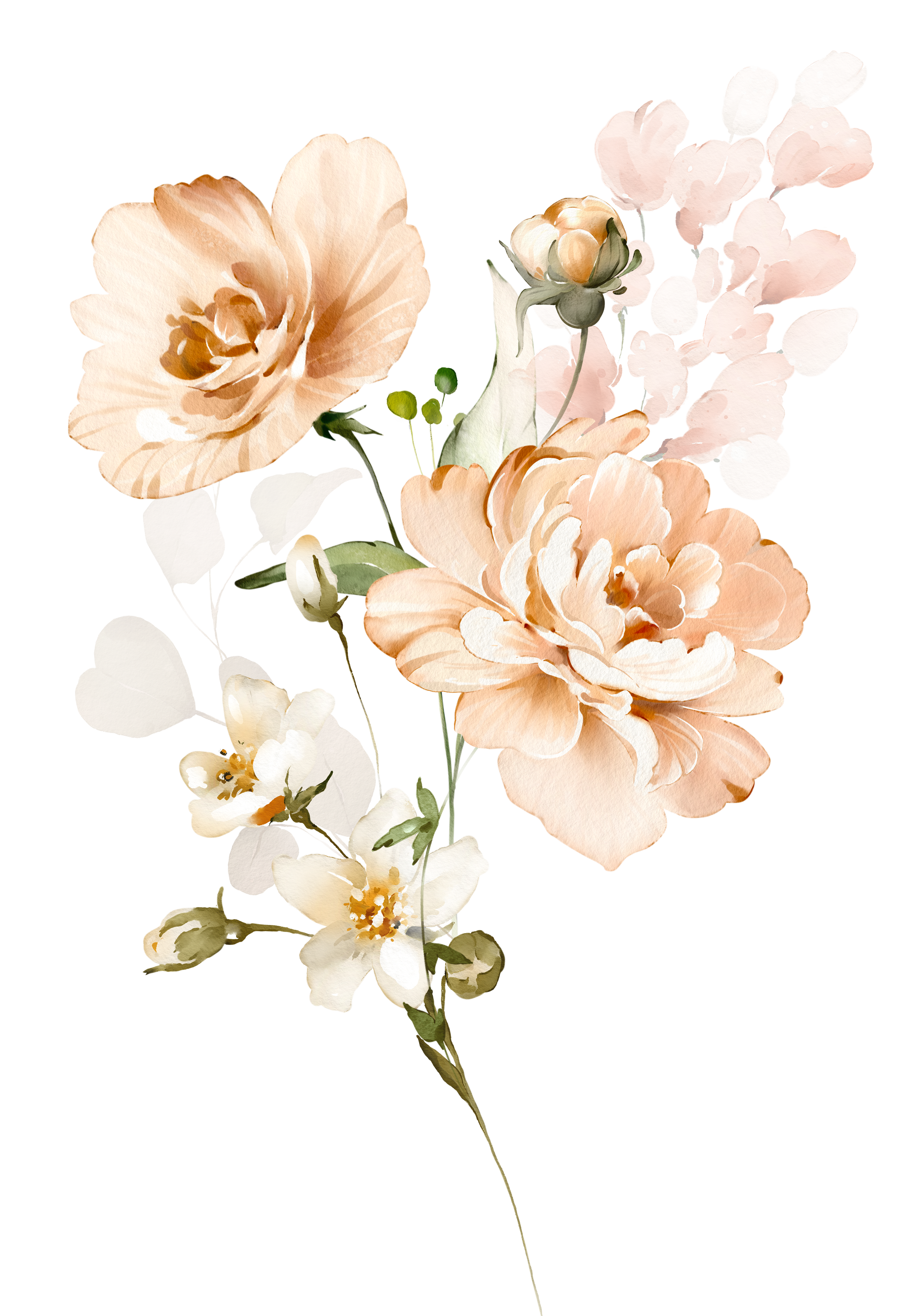 Botanical watercolor illustration showcasing peach roses, white flowers, and vibrant green leaves.