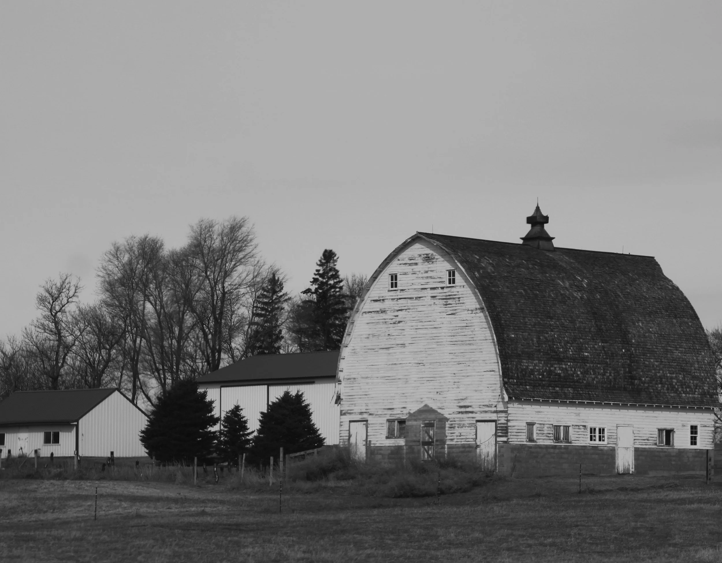 Black and white photo of an old barn with a steep roof, surrounded by leafless trees and smaller buildings in the background.