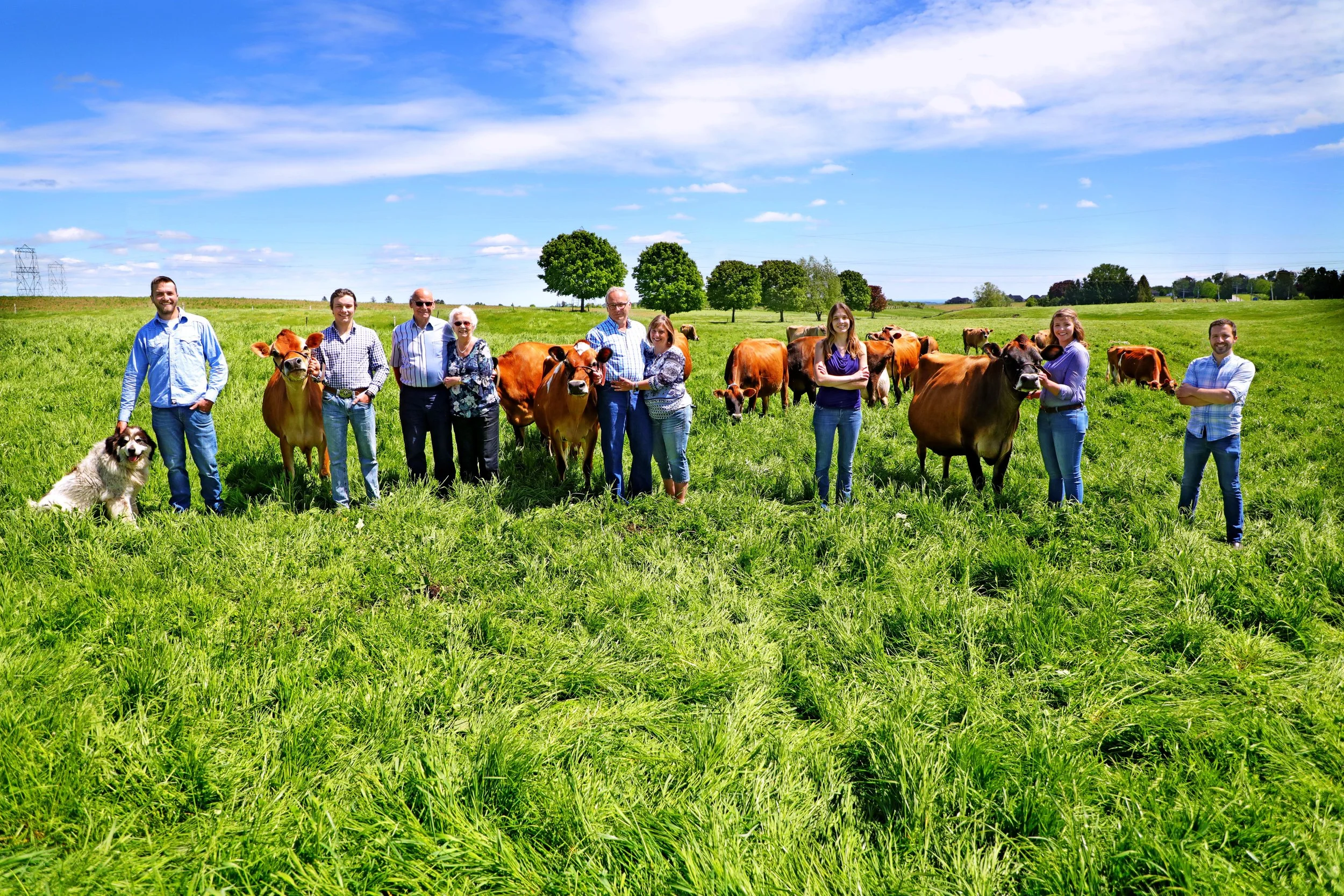 Sargent Family with dogs and cows in a green field on a sunny day, with blue sky and trees in the background.