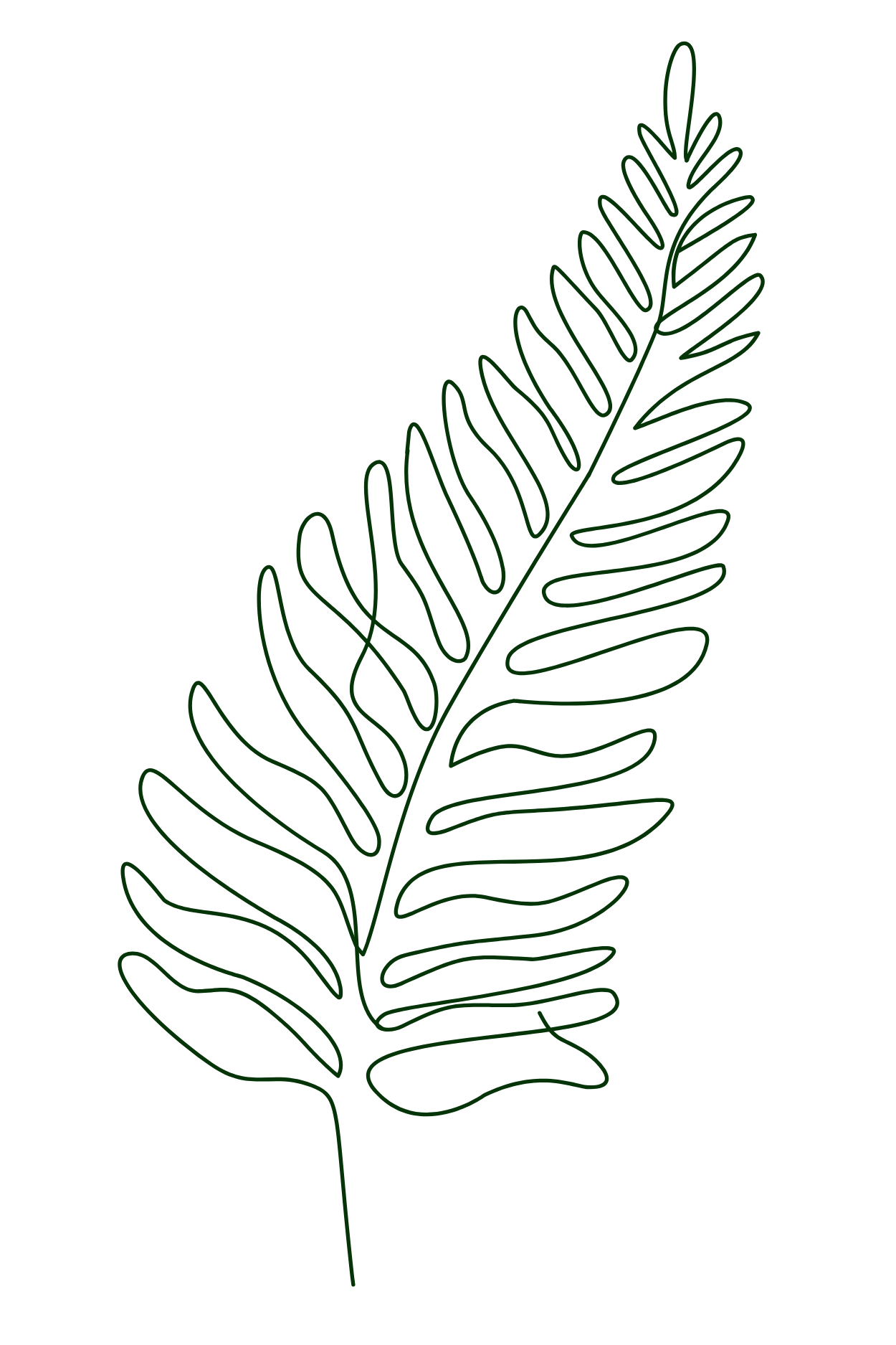 Outline of a fern leaf on a black background.