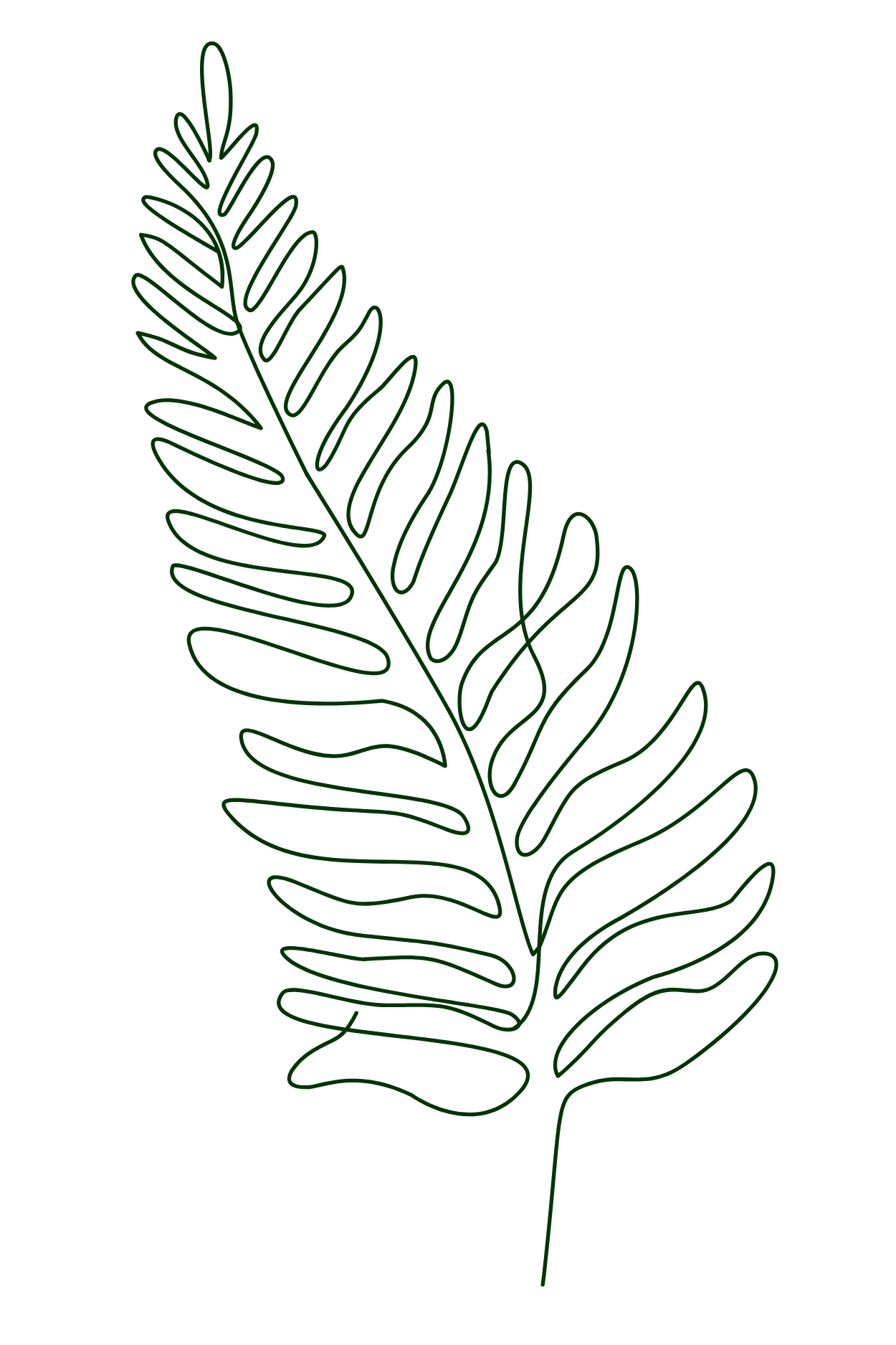 A minimalist line drawing of a fern leaf outlined in dark green on a black background.
