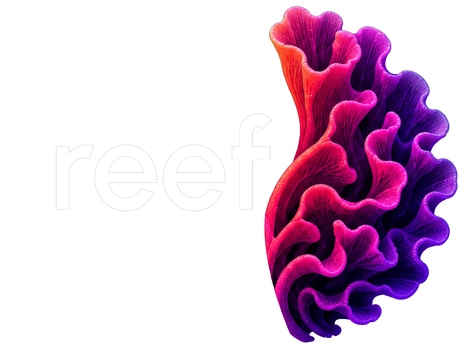 Reef Studio