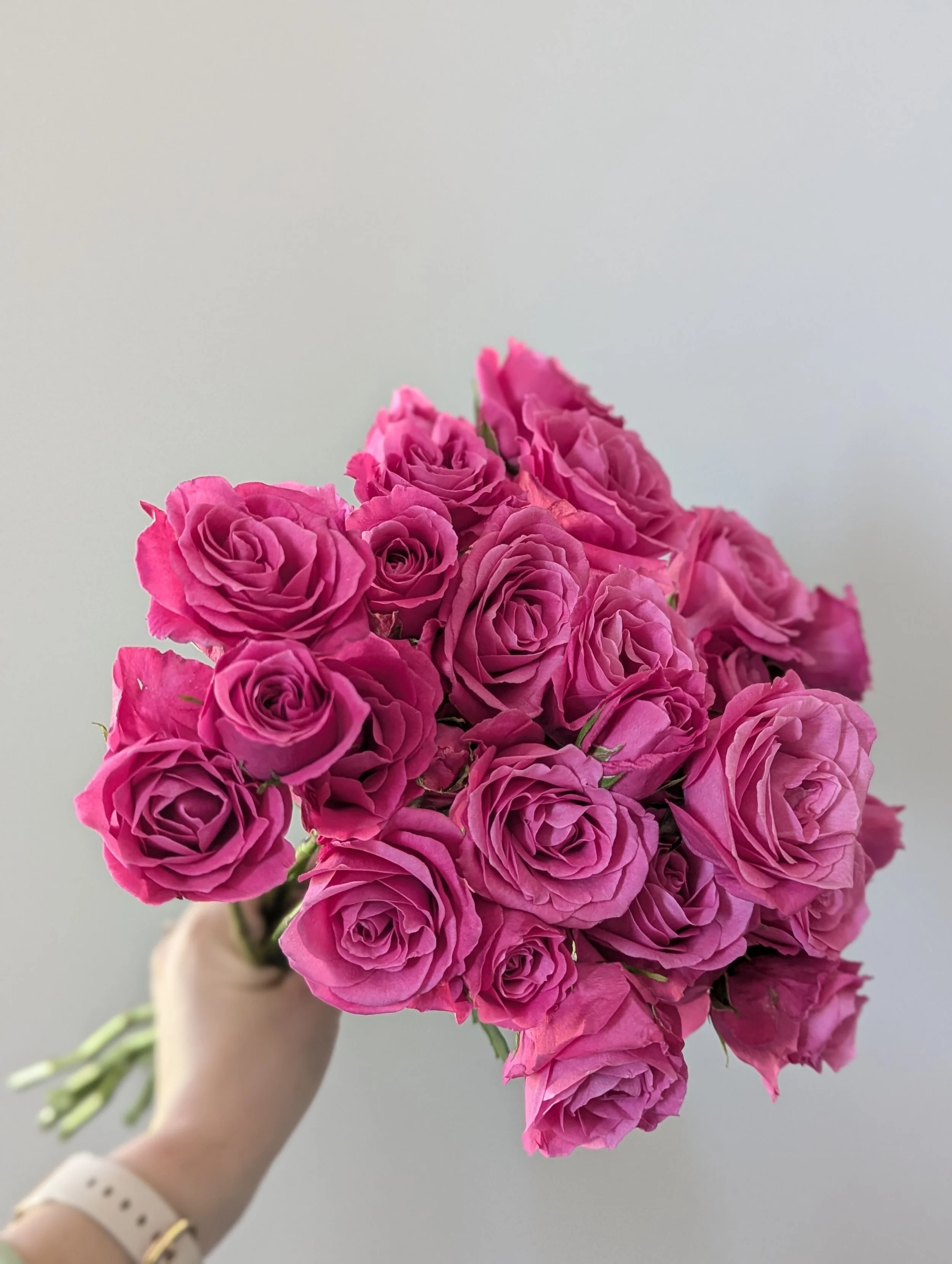 Person holding a bouquet of pink roses with a plain, light gray background.