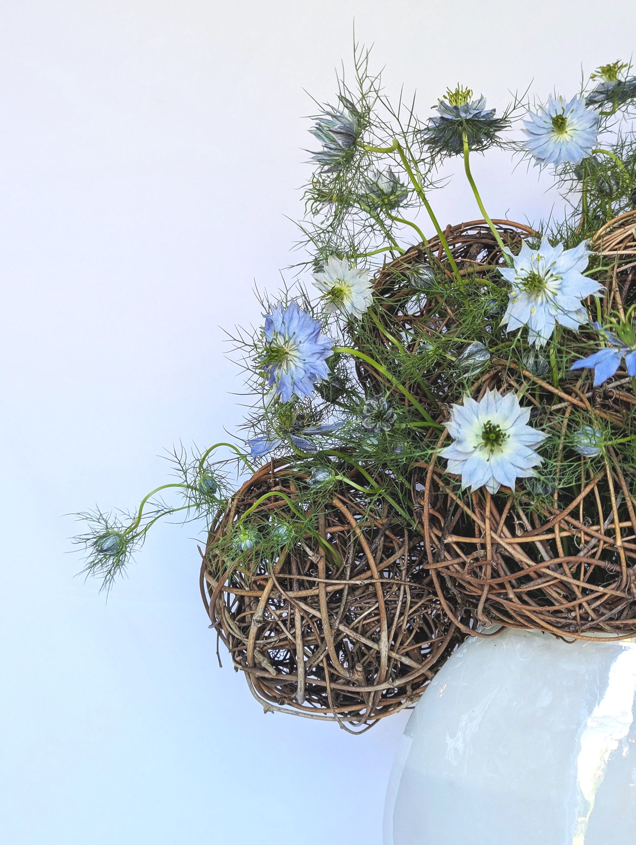 Blue and white flowers in a woven basket on snow, with a mountain and sky in the background.