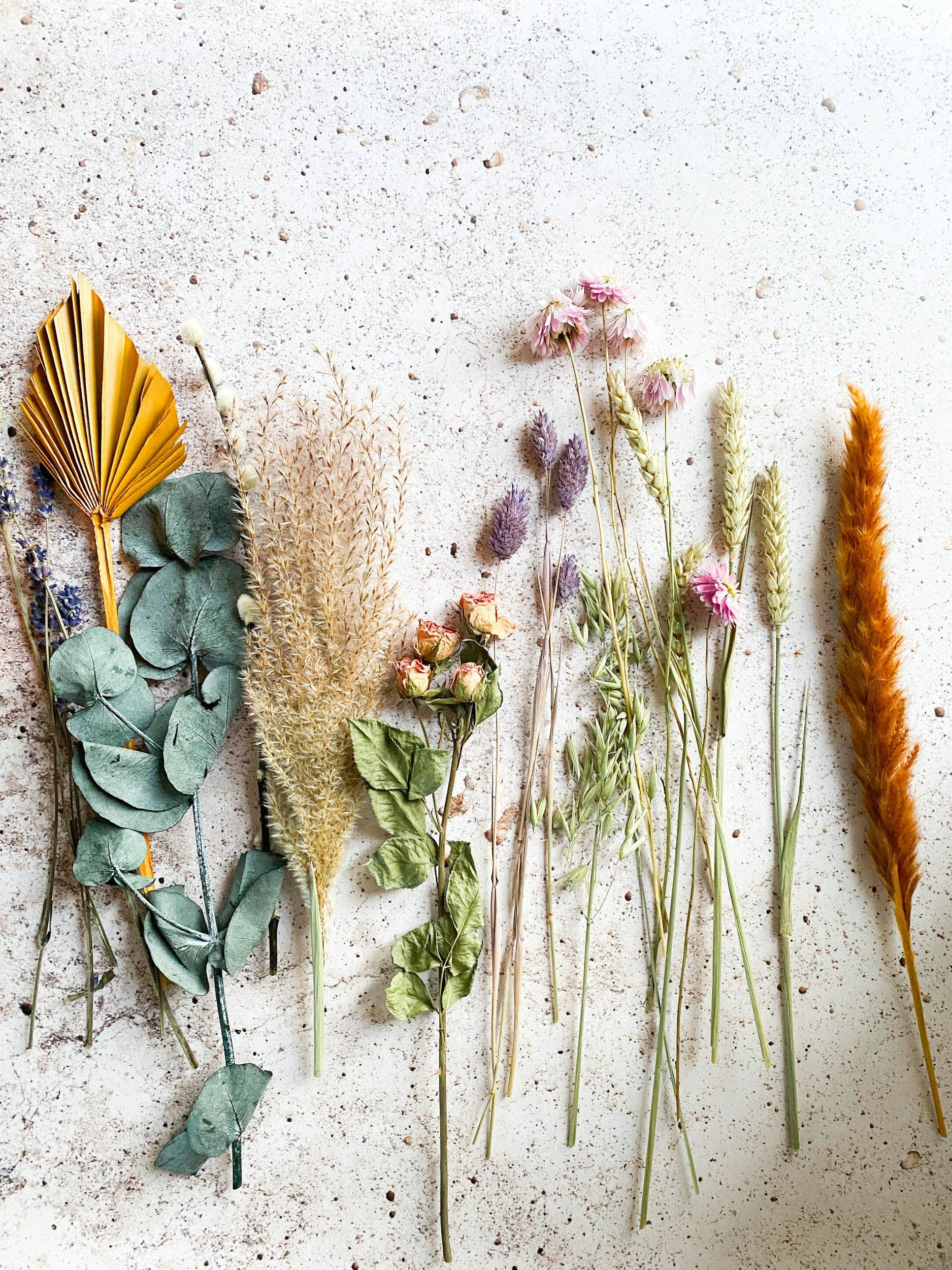Arrangement of dried flowers and foliage on a speckled off-white surface, including eucalyptus leaves, pink and purple flowers, and a bright orange fuzzy plant.