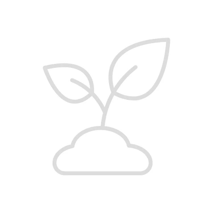 Placeholder image of a plant sprout with two leaves growing from soil.