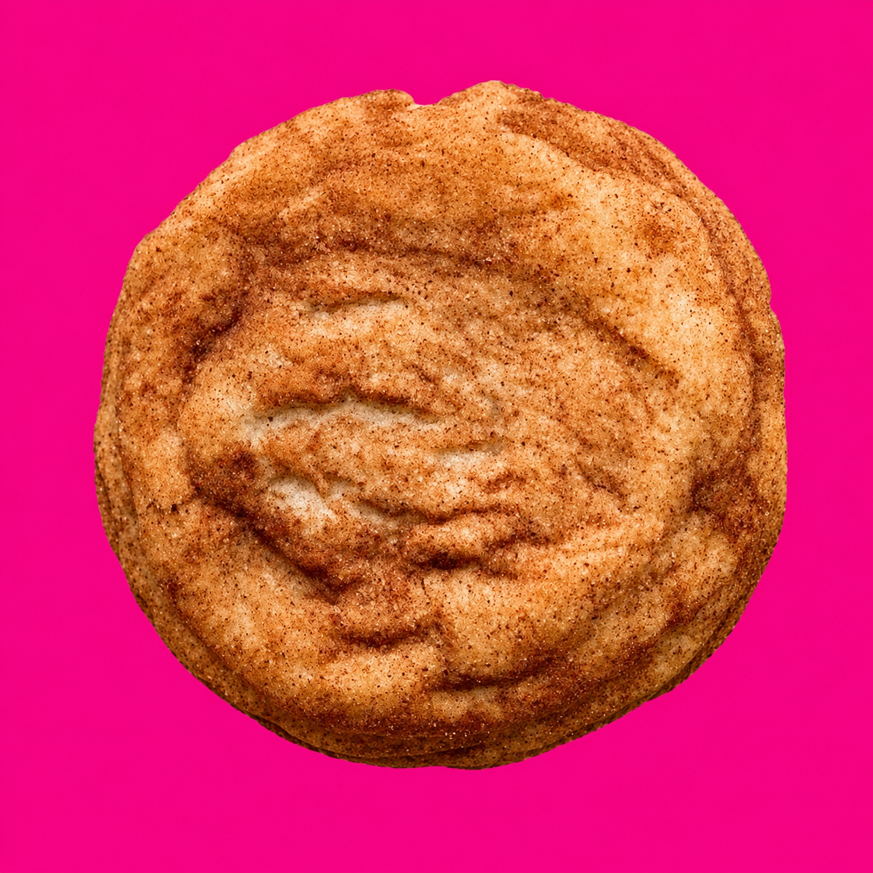 CinnaDoodle Delight (Snickerdoodle Cookie)