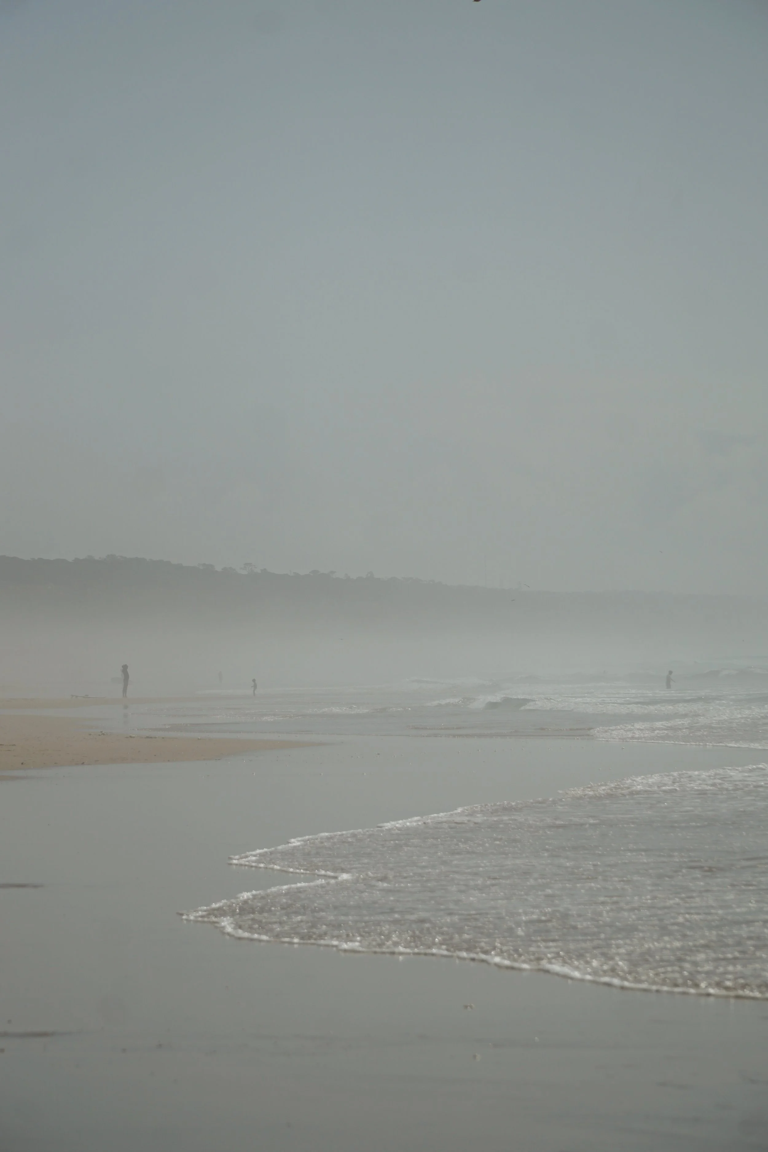 DSC08073.jpg