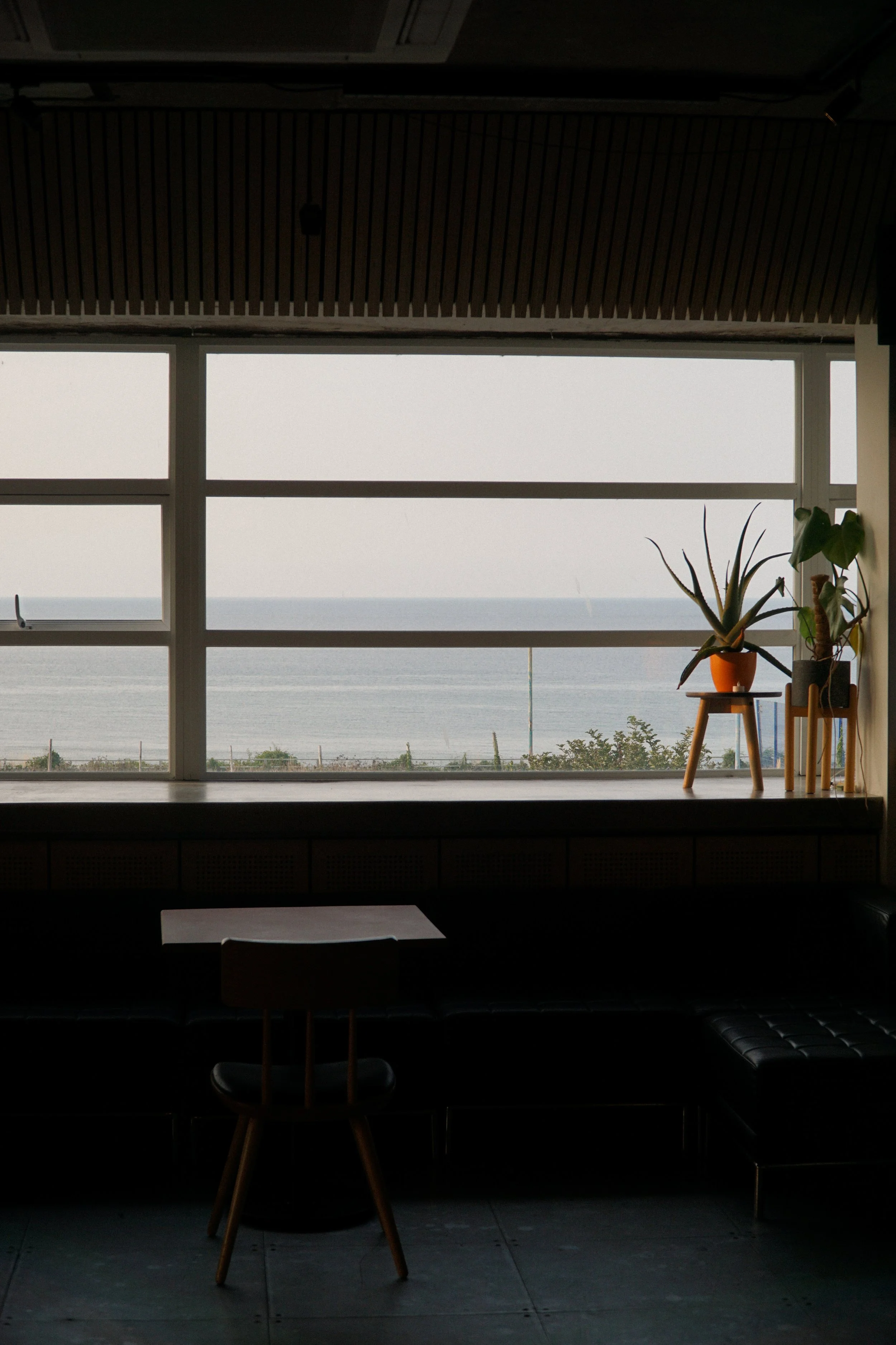 DSC07626.jpg