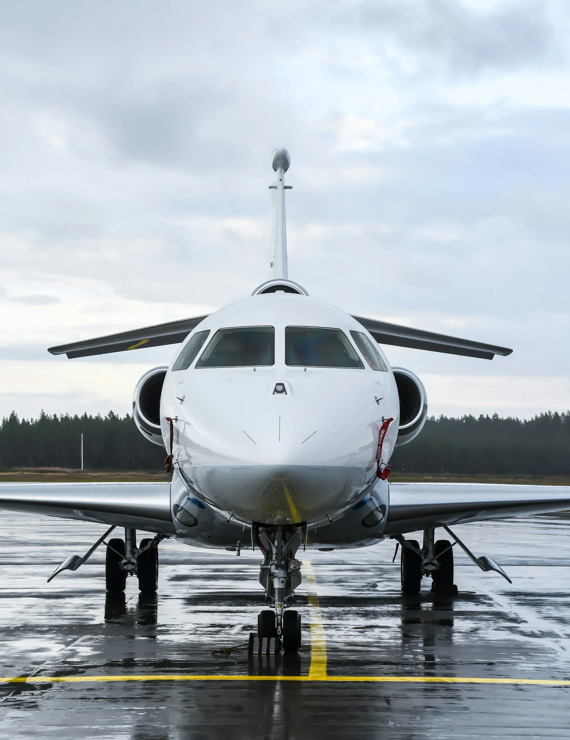 Front view of a jet aircraft parked on a wet runway with a cloudy sky and forest in the background.