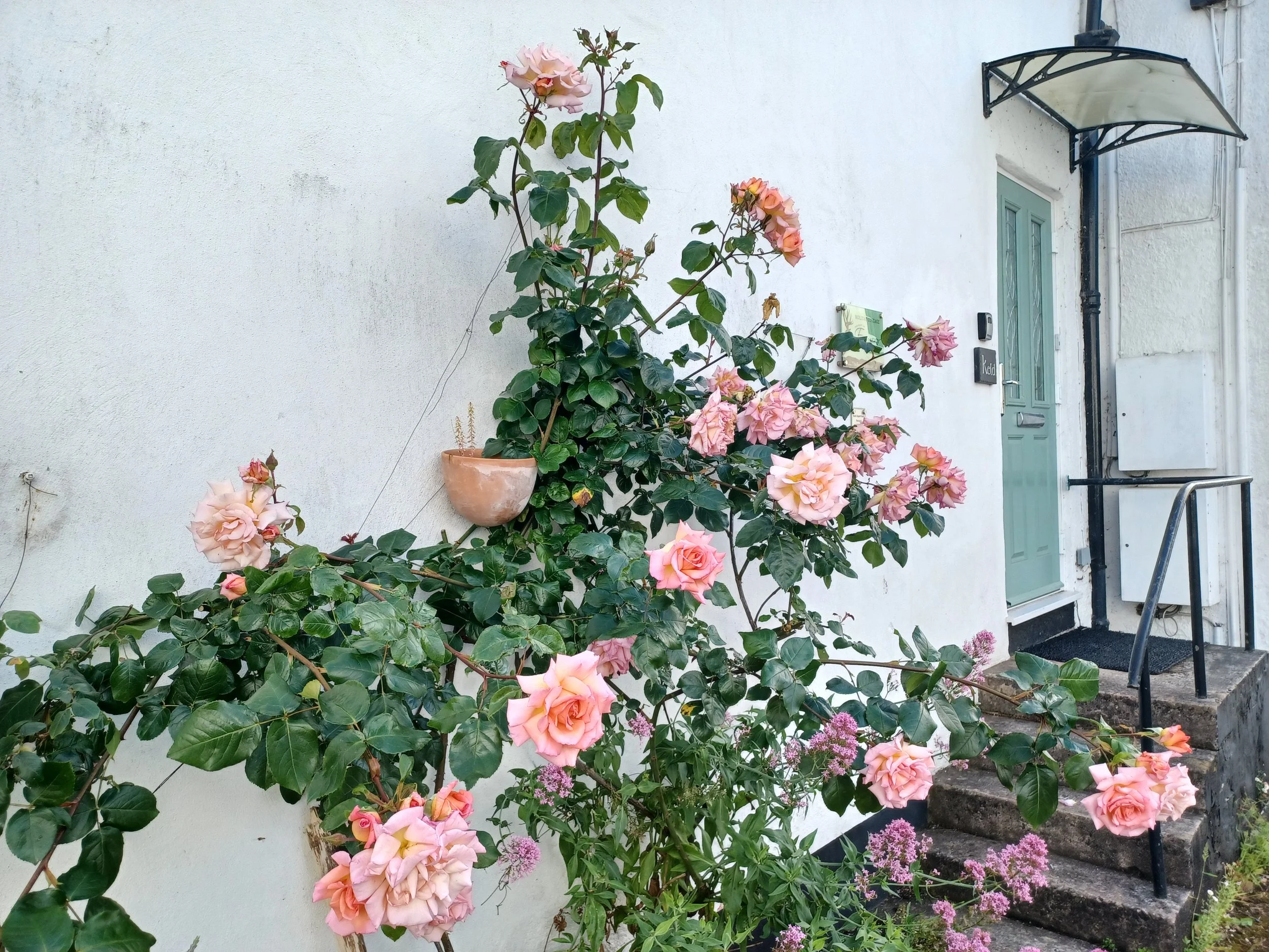 Keld Door Roses.jpg