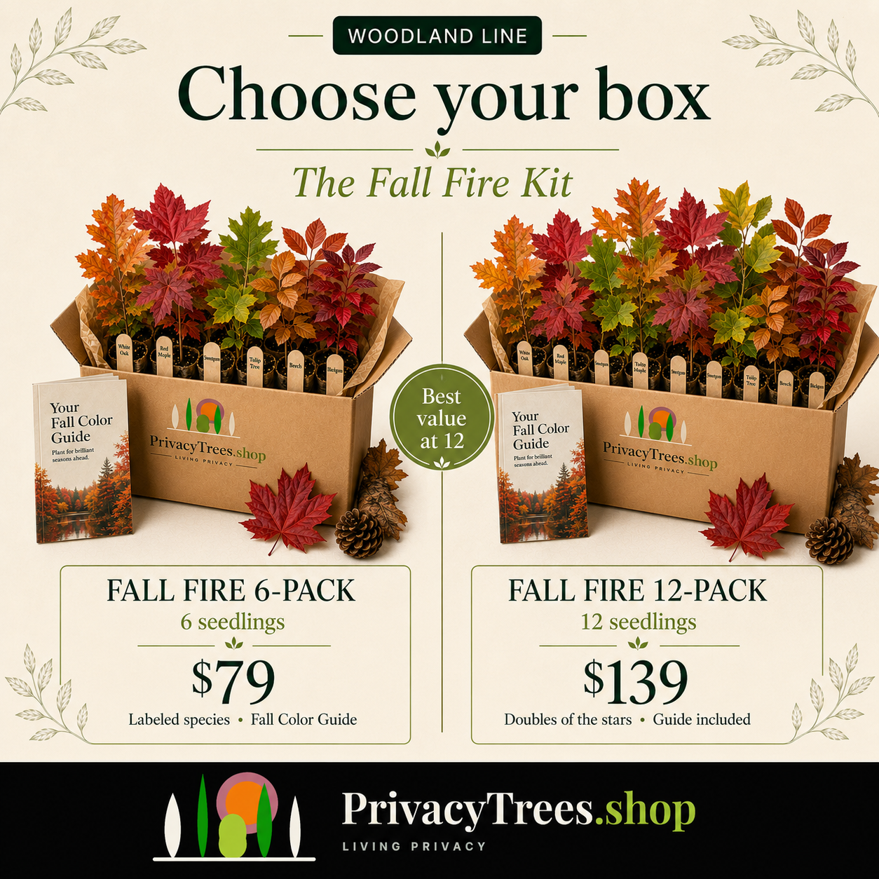 privacytrees_forest_kit_FALL_FIRE_pricing.webp