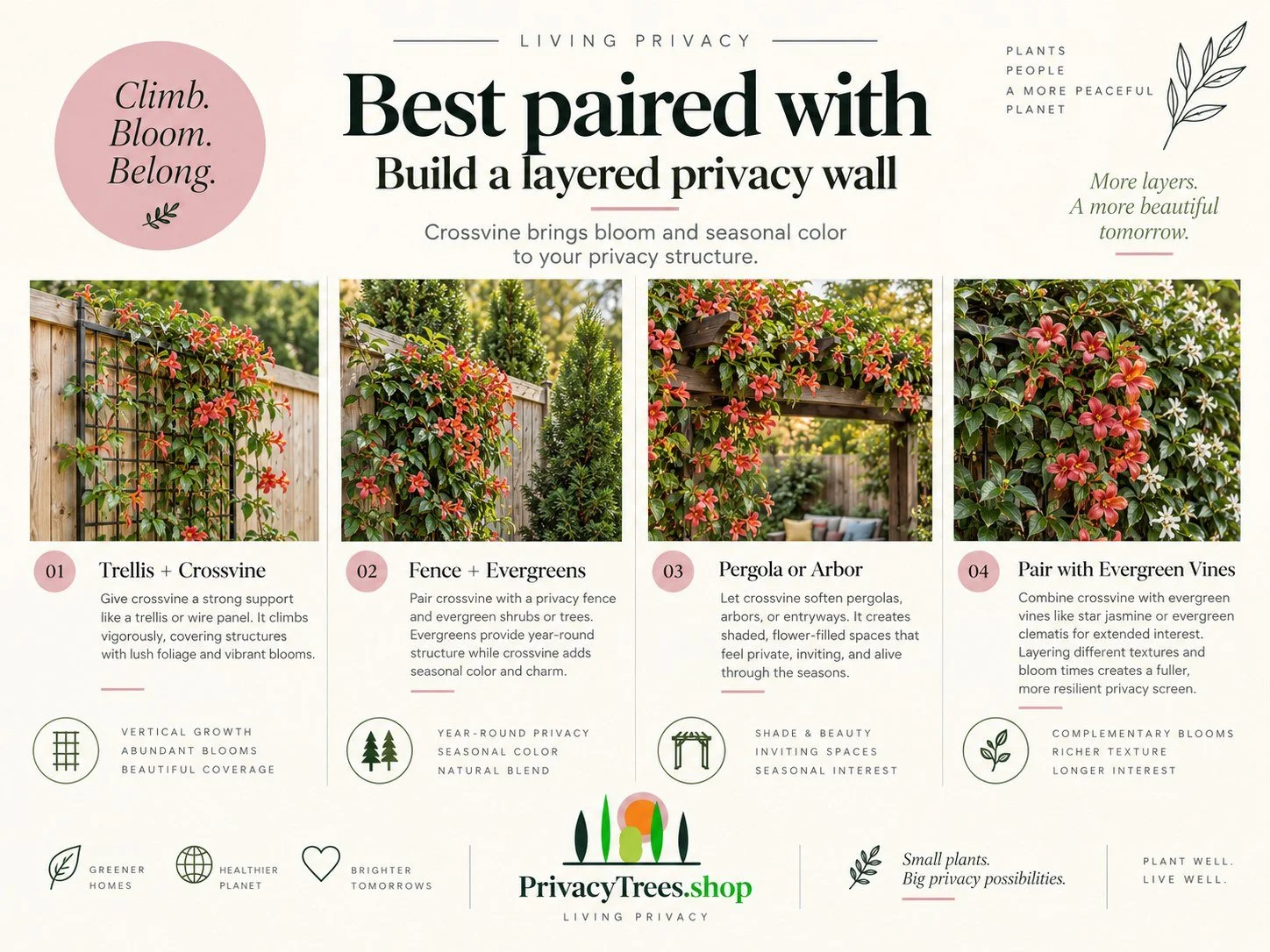 10_privacytrees_listing_crossvine_v10_PAIRED.jpg