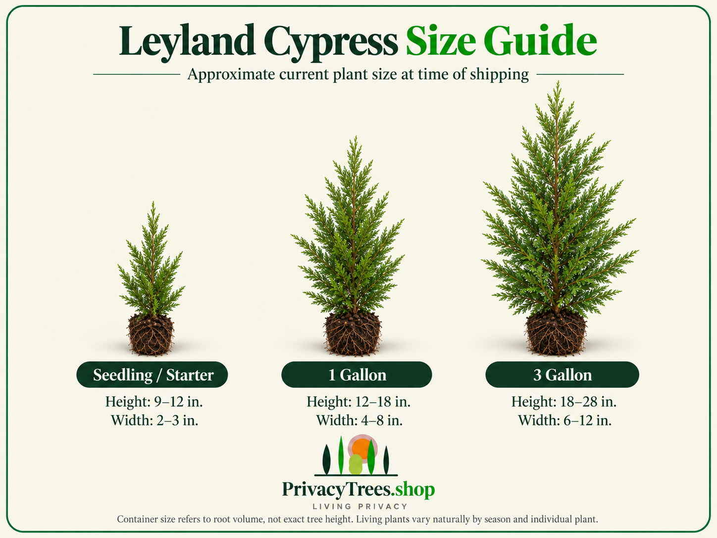 privacytrees_leyland_size_guide_4x3 (2).png