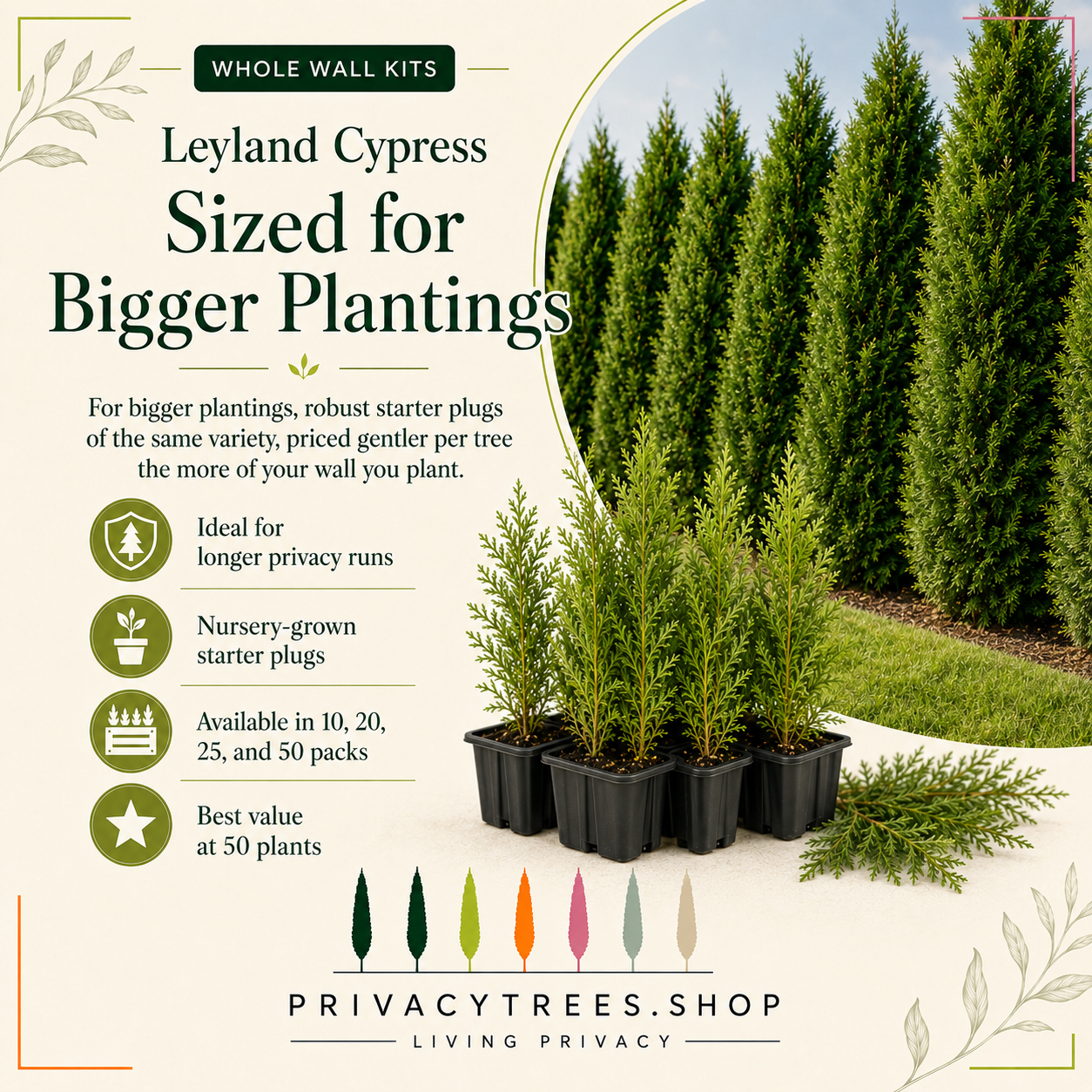 privacytrees_wall_kits_leyland_size.webp