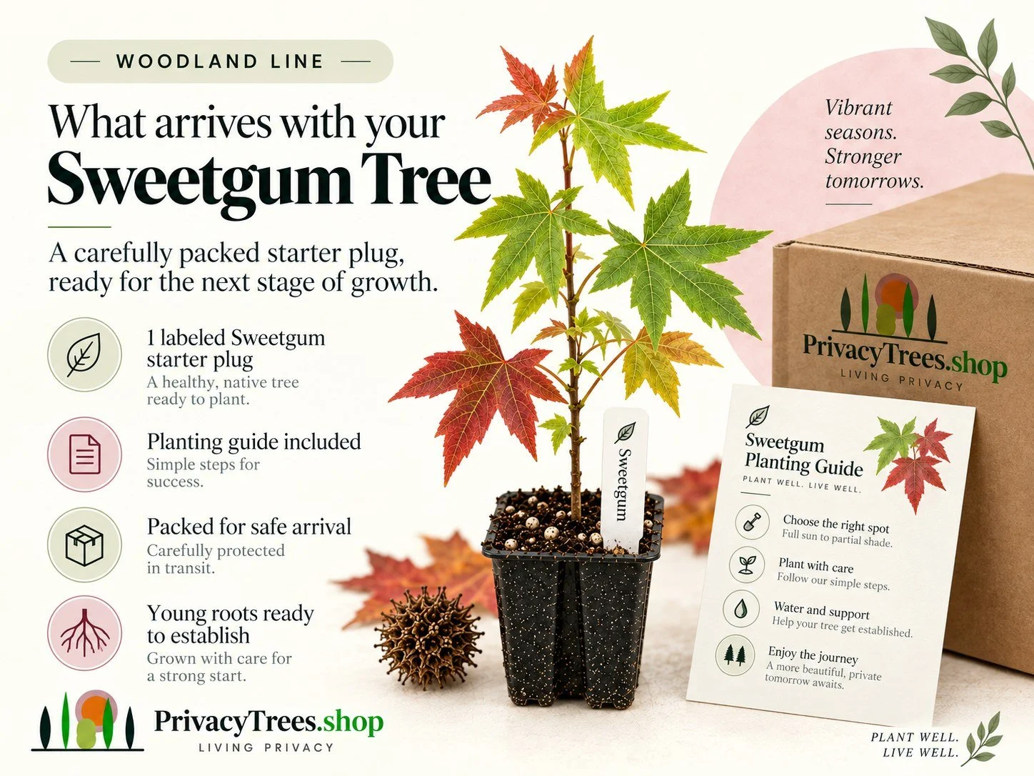 privacytrees_listing_sweetgum_v06_INCLUDES.jpg