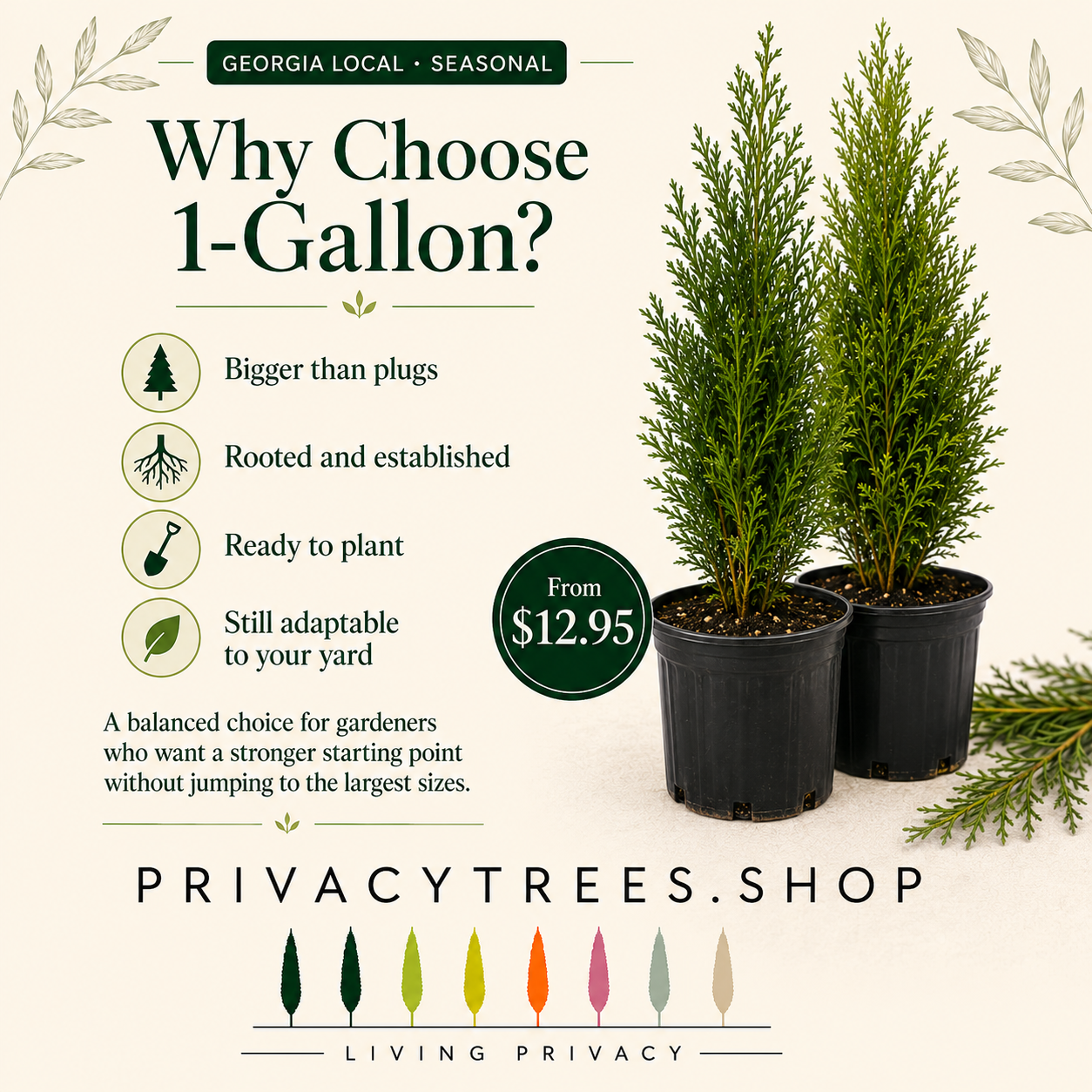 privacytrees_1-gallon_headstart_why.webp