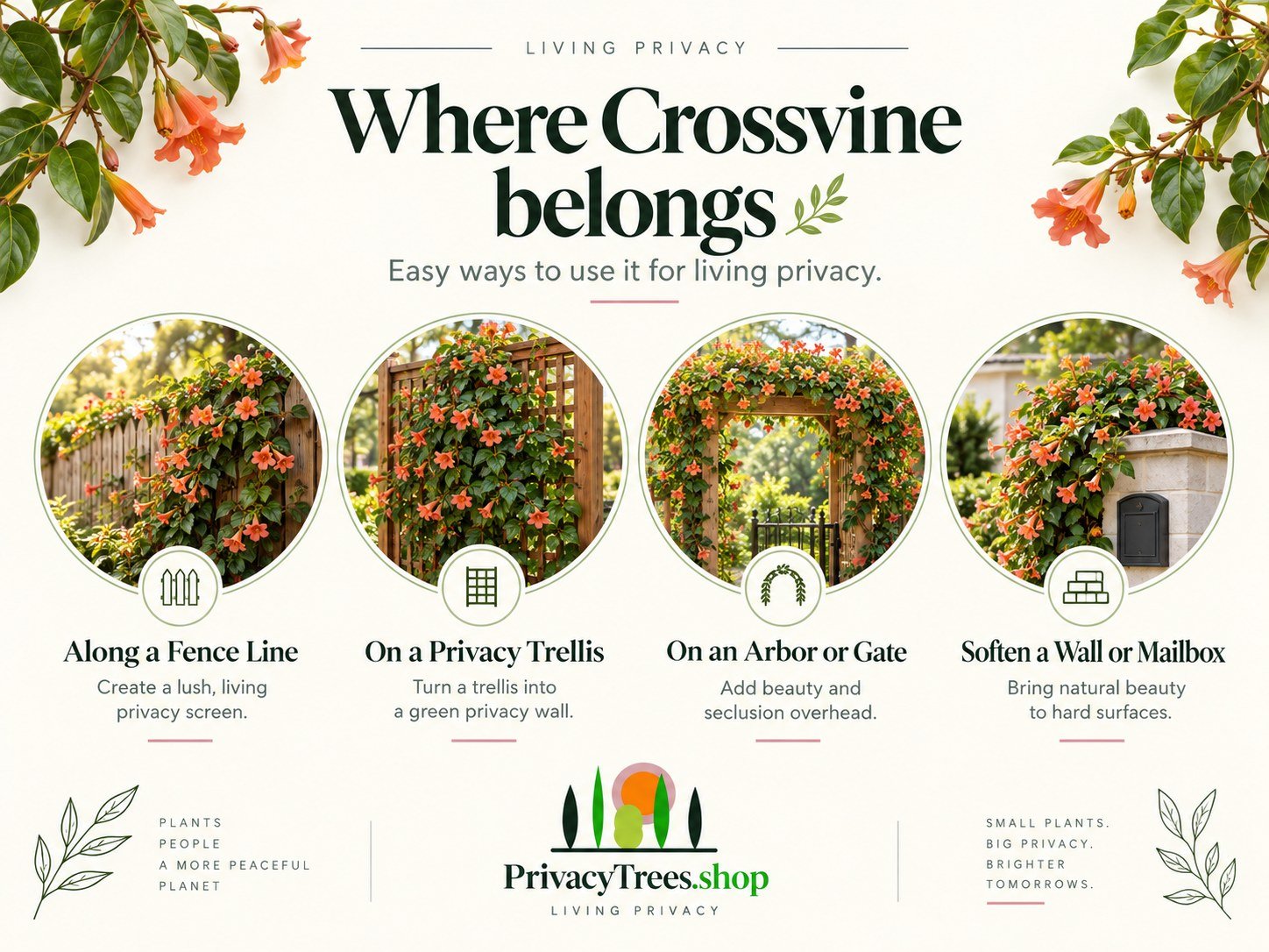 07_privacytrees_listing_crossvine_v7_PLACEMENT.jpg