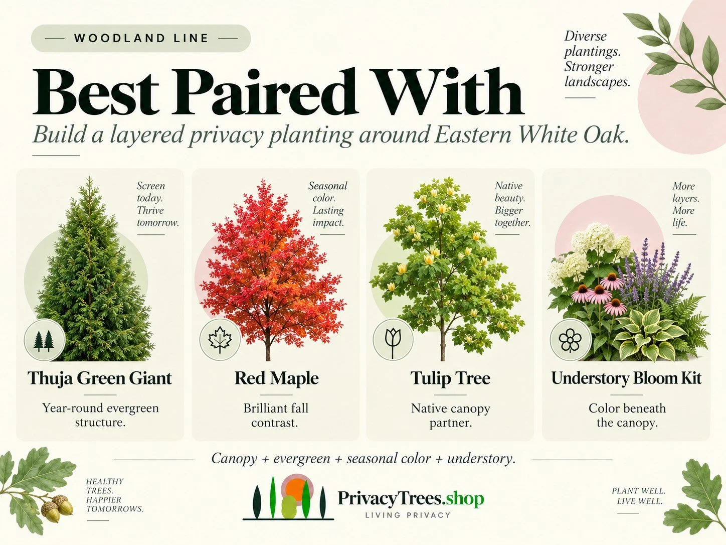 privacytrees_listing_white_oak_v13_PAIRED.jpg