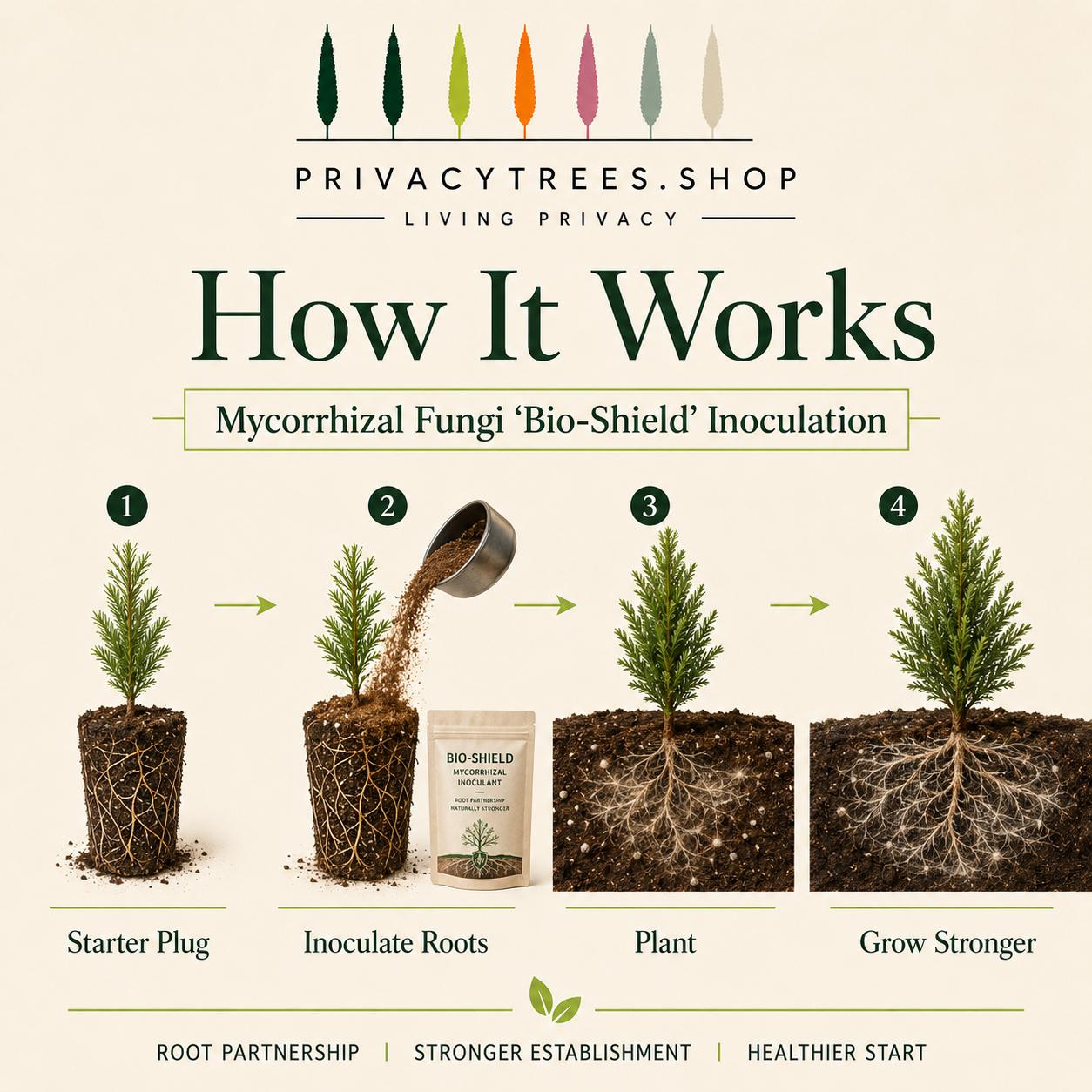 privacytrees_mycorrhizal_bio_shield_HOW.png