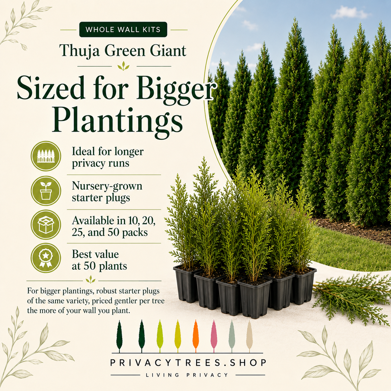 privacytrees_wall_kits_thuja_size.webp