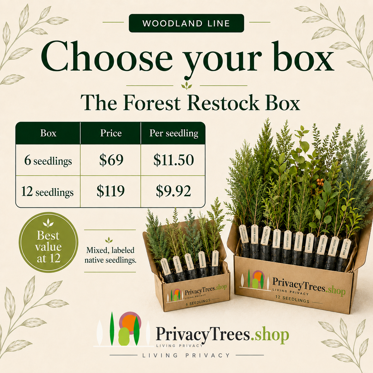 privacytrees_forest_kit_RESTOCK_BOX_pricing.webp