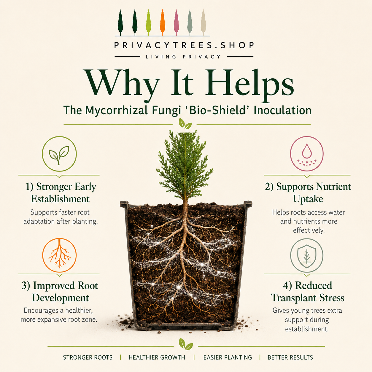 privacytrees_mycorrhizal_bio_shield_WHY.png