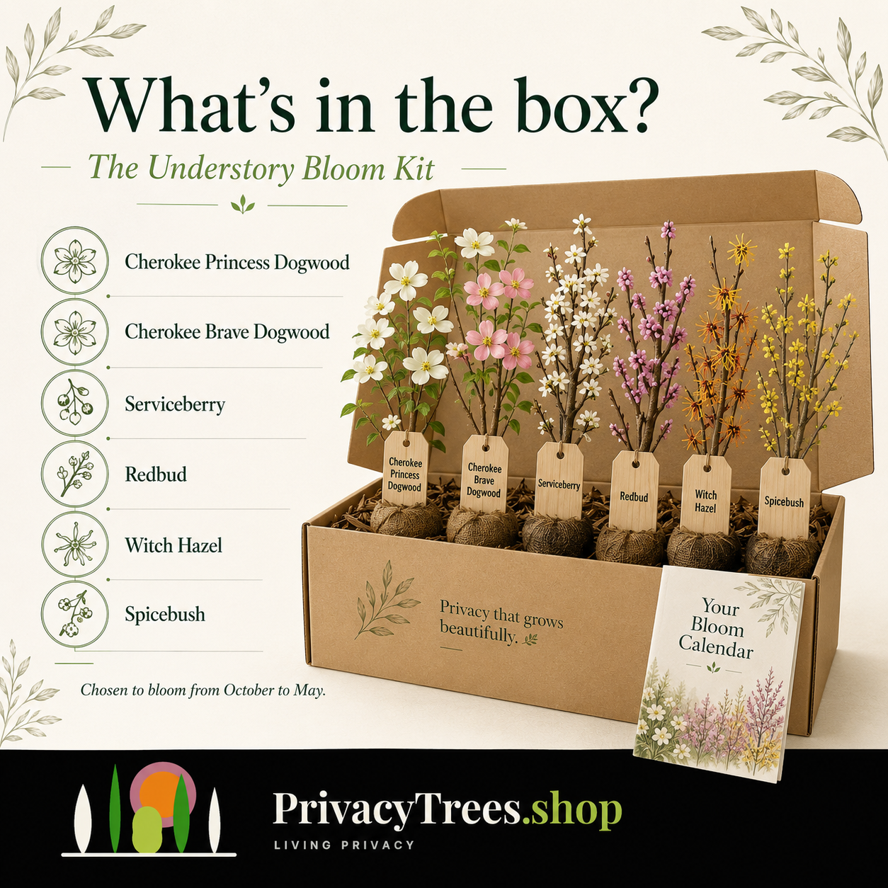 privacytrees_forest_kit_UNDERSTORY_BLOOM_KIT_included.webp