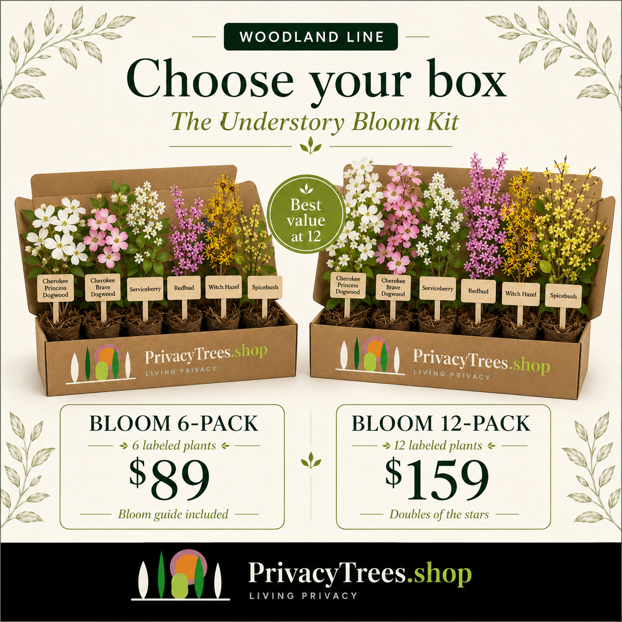 privacytrees_forest_kit_UNDERSTORY_BLOOM_KIT_pricing.webp