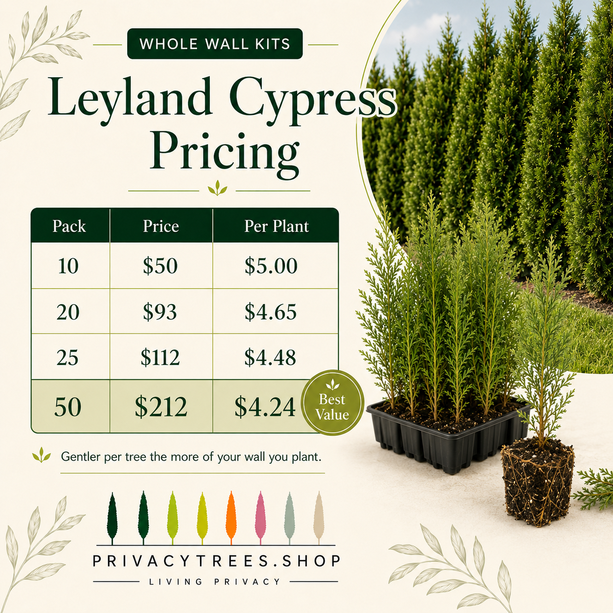privacytrees_wall_kits_leyland_pricing.webp
