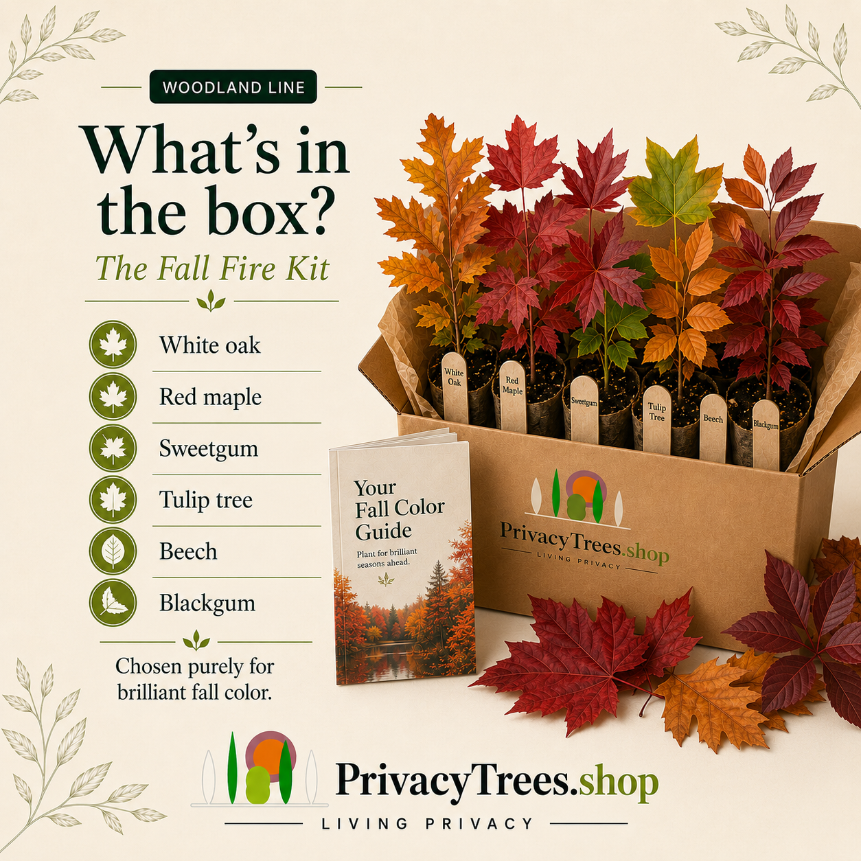 privacytrees_forest_kit_FALL_FIRE_included.webp