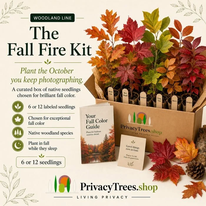 privacytrees-fall-fire-kit-privacy-trees.jpg