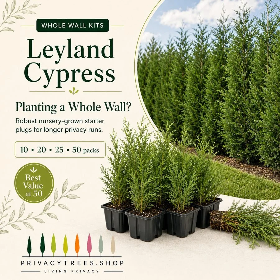Leyland Cypress Whole-Wall Kit