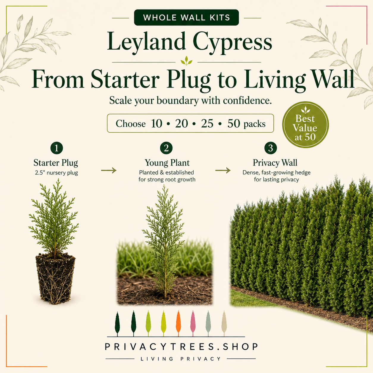 privacytrees_wall_kits_leyland_starter_to_wall.webp