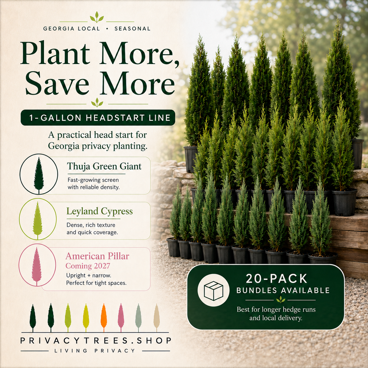 privacytrees_1-gallon_headstart_size.webp