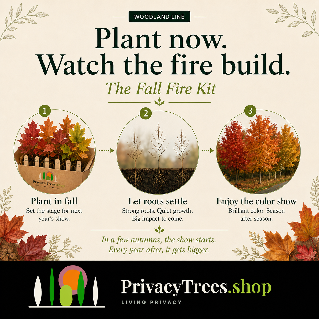privacytrees_forest_kit_FALL_FIRE_plant_now.webp