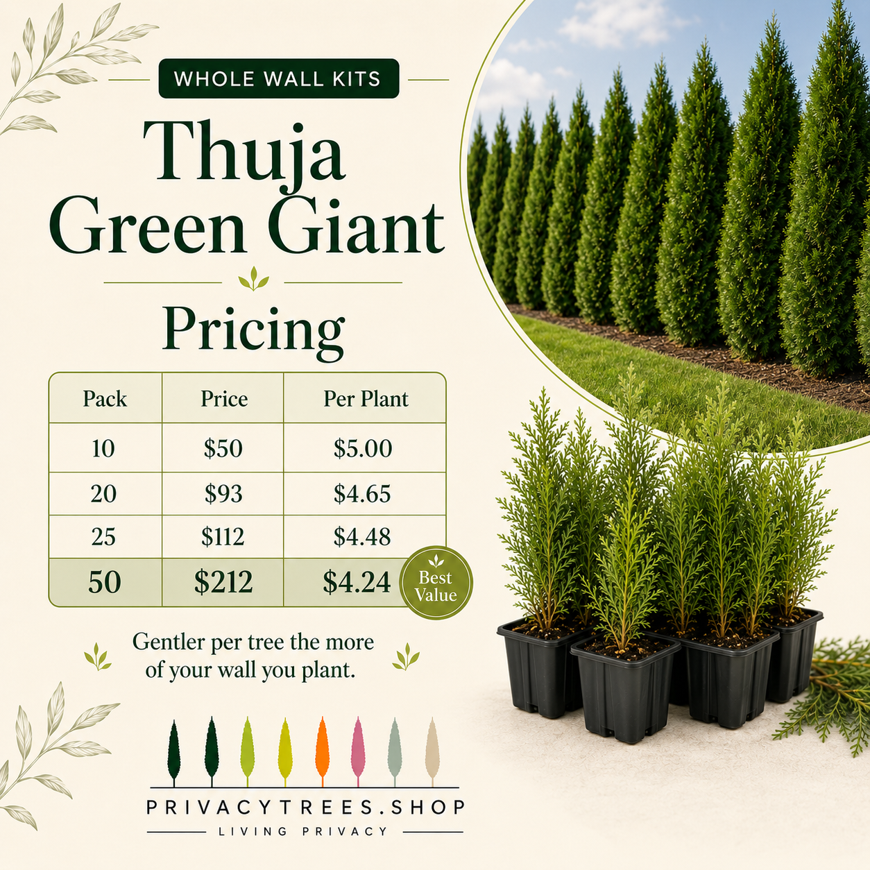 privacytrees_wall_kits_thuja_pricing.webp