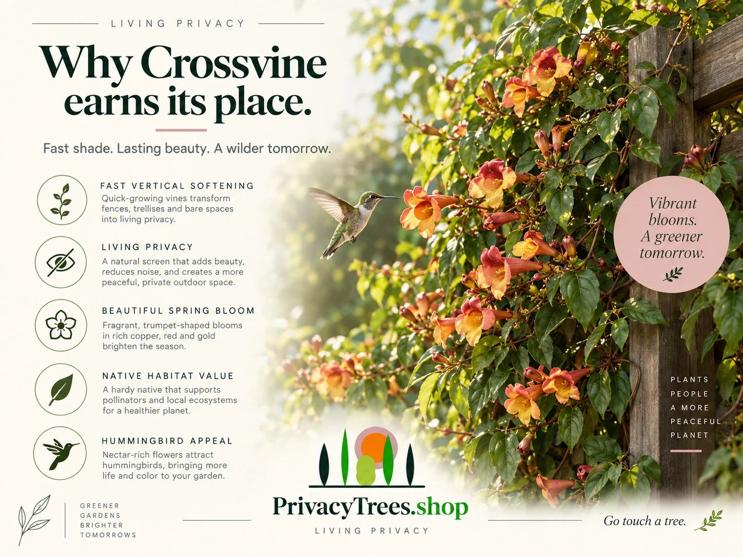06_privacytrees_listing_crossvine_v6_BENEFITS.jpg
