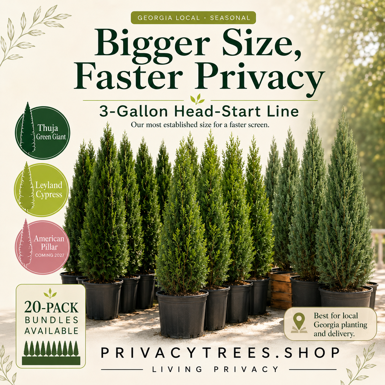 privacytrees_3-gallon_headstart_size.webp
